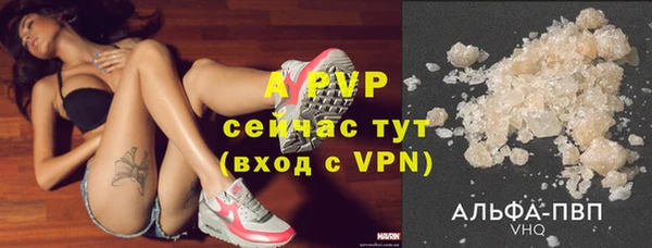 стаф Горняк