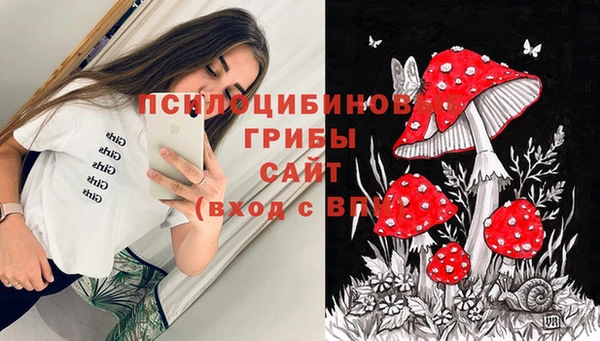 2c-b Карталы