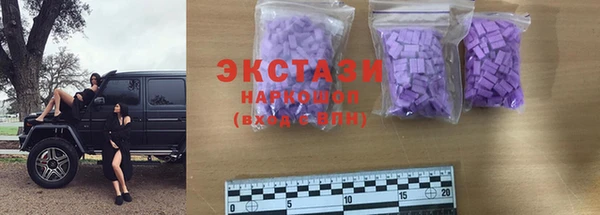 стаф Горняк