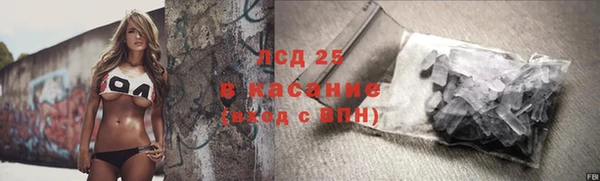 стаф Горняк