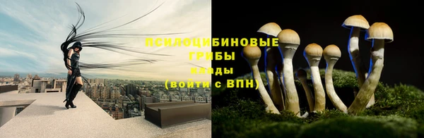 стаф Горняк