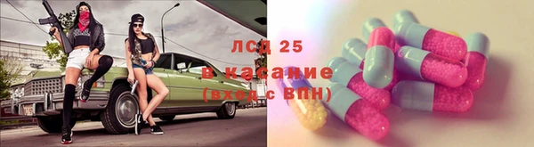 стаф Горняк
