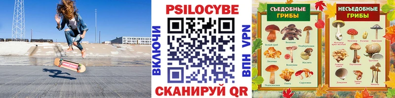 Галлюциногенные грибы GOLDEN TEACHER  Ивангород 