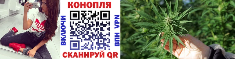магазин Ивангород нарко площадка клад Каннабис Amnesia